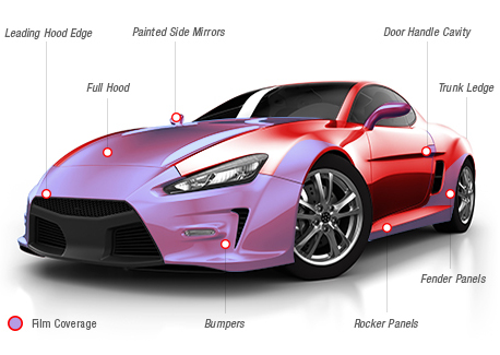 Paint Protectio Film